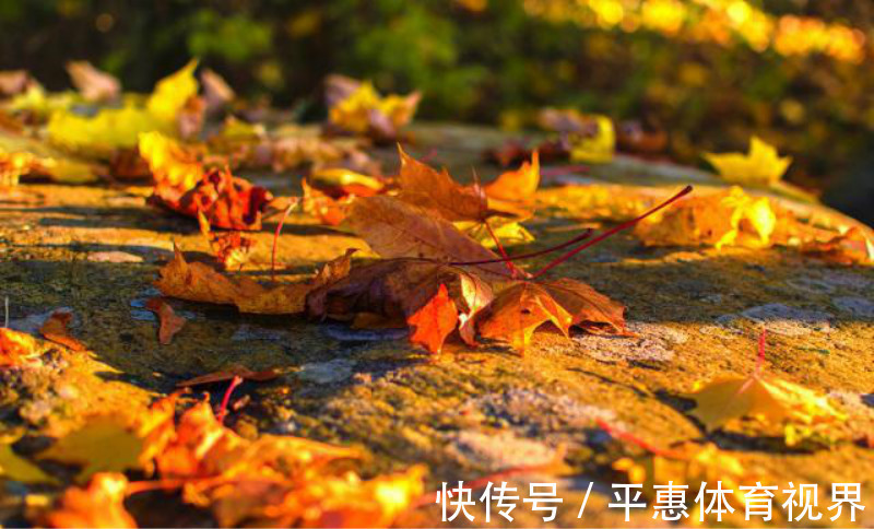 子才甫&辛弃疾的一句牢骚,被落魄才子巧对下半句,成一个家喻户晓的名句