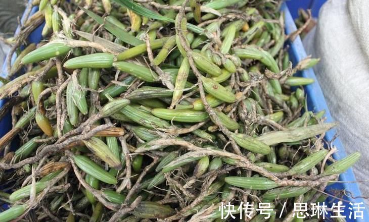 养阴润肺|立秋后，肺热咳嗽不止，常用此草煮水，养阴润肺，咳嗽不咳