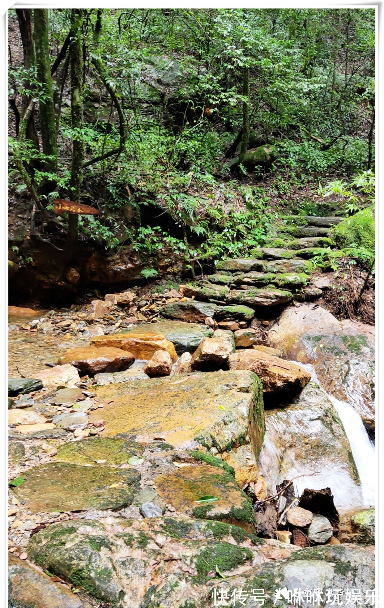 原始森林|自驾云南新平哀牢山，在雨中走茶马古道、体会马帮伙计的辛酸苦辣