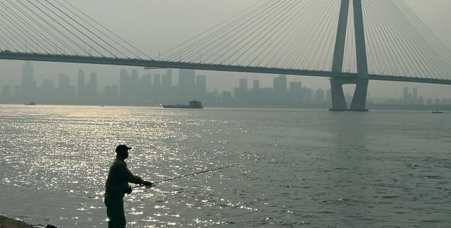 动在水的表|钓白条有技巧,并不是使用腥饵那么简单,想钓得好这几点尤为重要