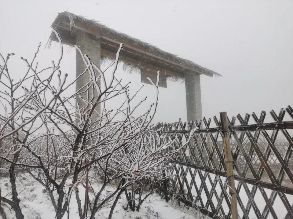 雪景|丽水这些地方下雪了，美炸了~最新雪景美图，请签收