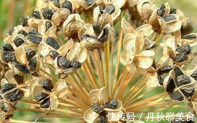 男性|男性想养肾,开水加“一宝”,坚持喝7天,让肾脏更轻松