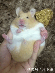 表情|笑死了,快看吃货宝宝吃饭时那笑死人的表情吧