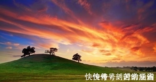 专一|表面看起来无情,其实很重感情,特别专一的星座