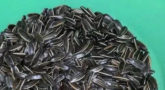 盆里扔2样东西,养花10年不烂根,叶子油光瓦亮,花苞挂满枝头