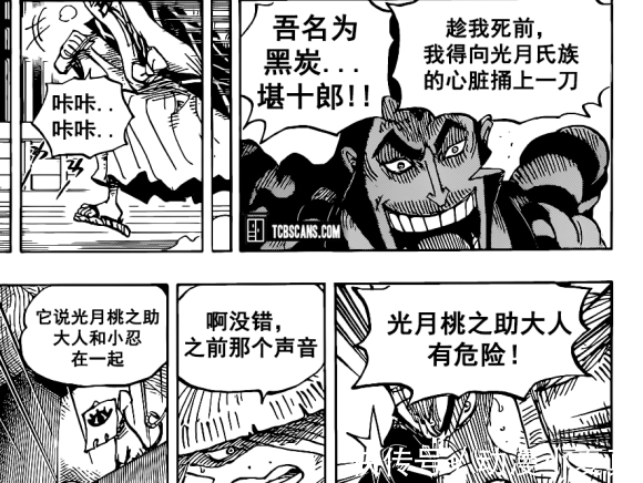 童子|海贼王1008话汉化,凯多人兽形被丑哭,罗开始分兵解决两大四皇
