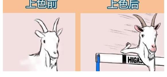 marmot$有一位画手每次画到一半就放弃，当作品被上色之后，瞬间有了灵魂