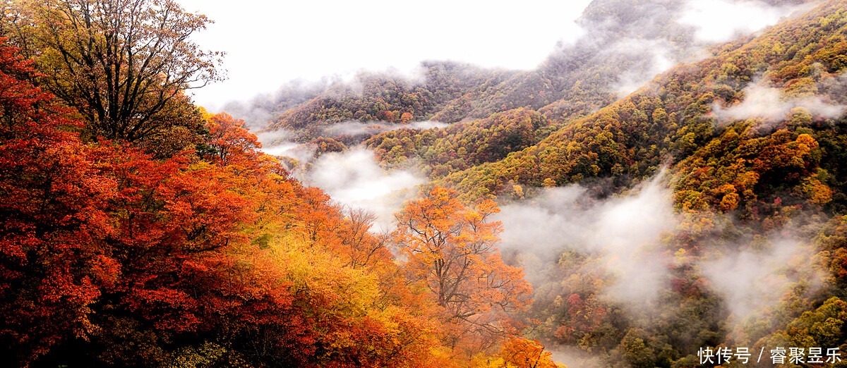 美丽|秋光乍泄 美景成诗 秋日的神农架 一定会惊艳到你