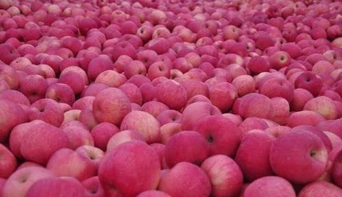 美容养颜|女性不想气色差，推荐吃的食物，美容养颜，淡化皱纹，越吃越年轻