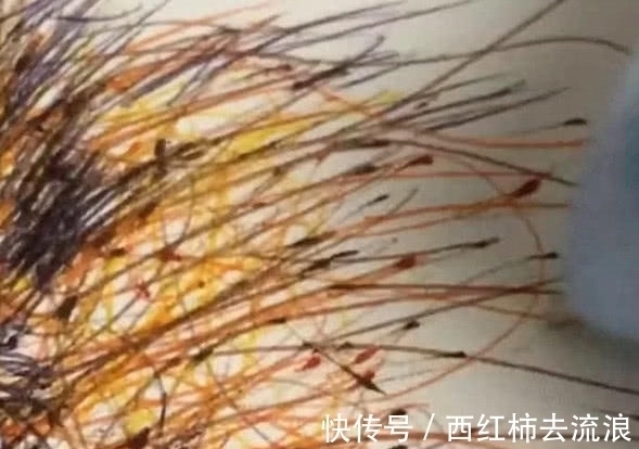 圆珠笔$美术生用“圆珠笔”作画,本以为是个青铜,不料竟是个“王者”!