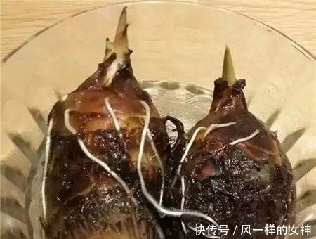 这种蔬菜吃剩了别扔,泡水里就疯长,比滴水观音还要漂亮100倍