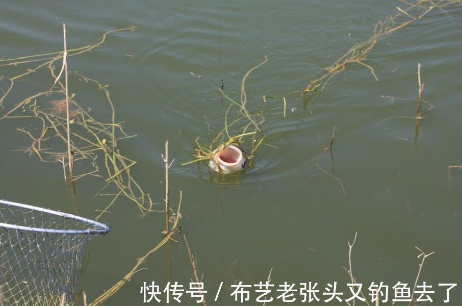 鱼友|夏天气温高，鱼不开口怎么办？那么这个小药能帮你解决