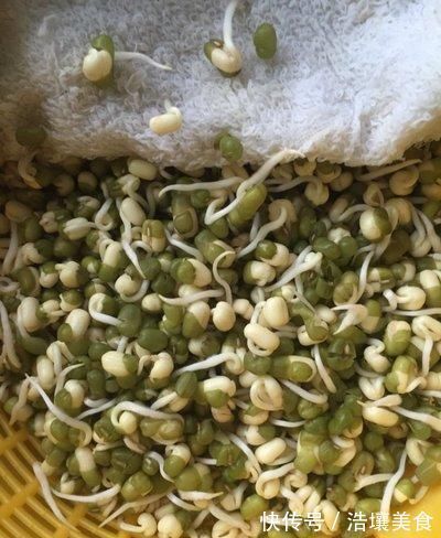 豆芽好吃不用买,教你在家发豆芽,只需一个塑料瓶,4天就可以吃