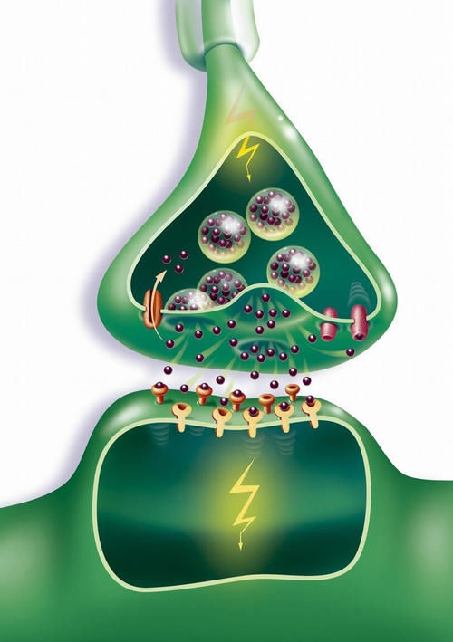  利血平|“0号”降压药，减慢心率、扩张血管、利尿降压，但要注意胃出血和抑郁