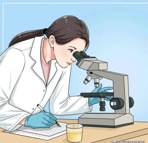 肾小球滤过率|去年体检，今年确诊尿毒症！全因没看懂那张检查报告单