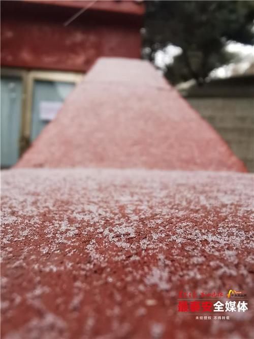 下雪|泰山又下雪啦！青山原不老，为雪而白头