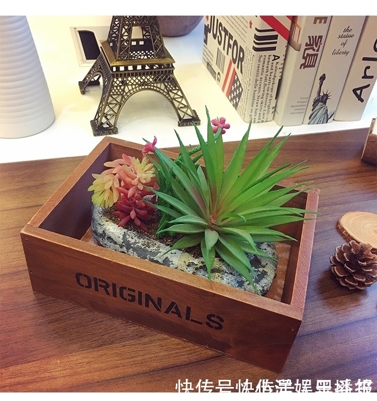 花盆|你还在花钱买花盆吗？别买了，自制花盆，比买的好看的多了