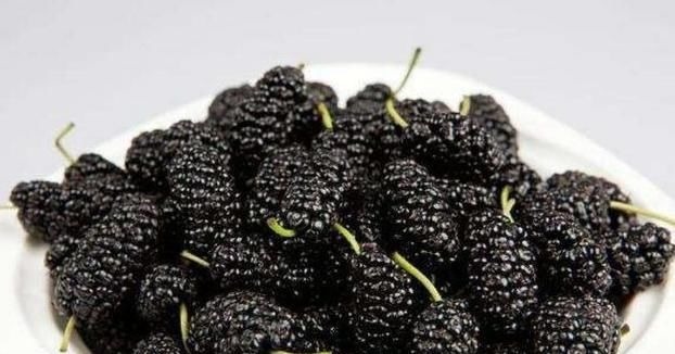 桑葚|建议中老年人:少吃肉少喝酒,多吃下面“几物”,强过天天喝鸡汤