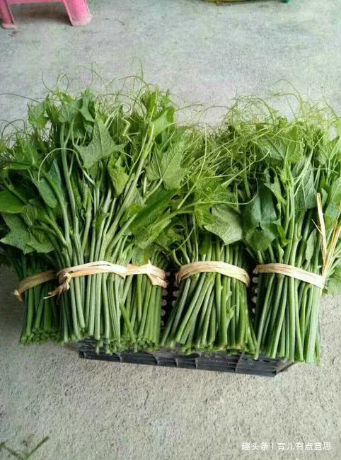 便秘|7成人不知它,晚饭吃一盘,便秘没了,嘴巴不臭,细腰瘦腿