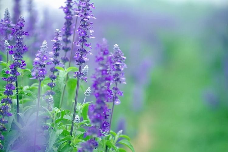 事實(shí)上，看看你家的這個(gè)地方，就知道你過得好不好，沒必要假裝