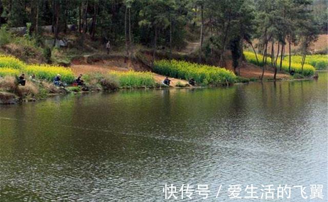 钓鱼|夏秋季节钓鱼，为何要迎风而钓？其实原因很简单：这里是活水