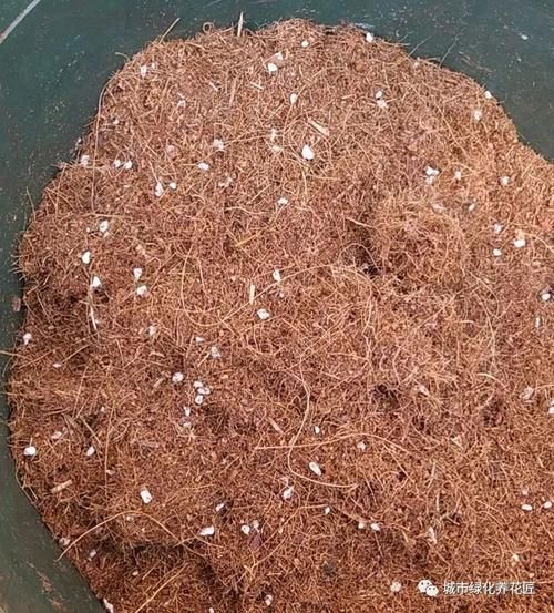 买的营养土,椰糠混合些珍珠岩,可以直接用来养月季花吗?