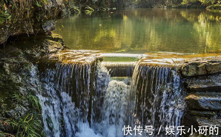 景区|池州一冷门自然景区，植物茂密富含生机，四季皆美，知道的人却少