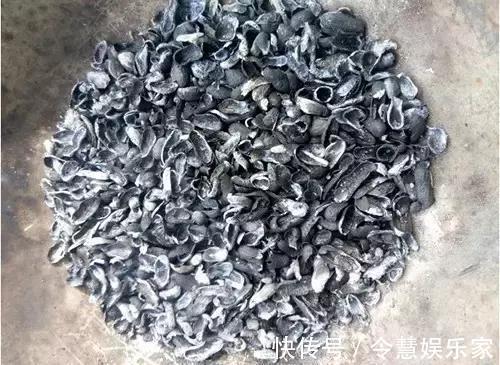 这2种“壳”丢了太可惜，埋花土里3年不板结，种什么花都旺！