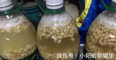 想要根肥株壮，花大色艳，远离病虫害，盆里用3种肥，效果好