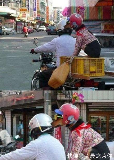 |搞笑GIF:不愧是兄弟两个,连摔跤都是这么同步,好可爱!