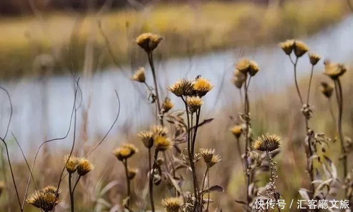 一年四季|这个藏在中国北方的“小瑞士”，一年四季都风景如画！