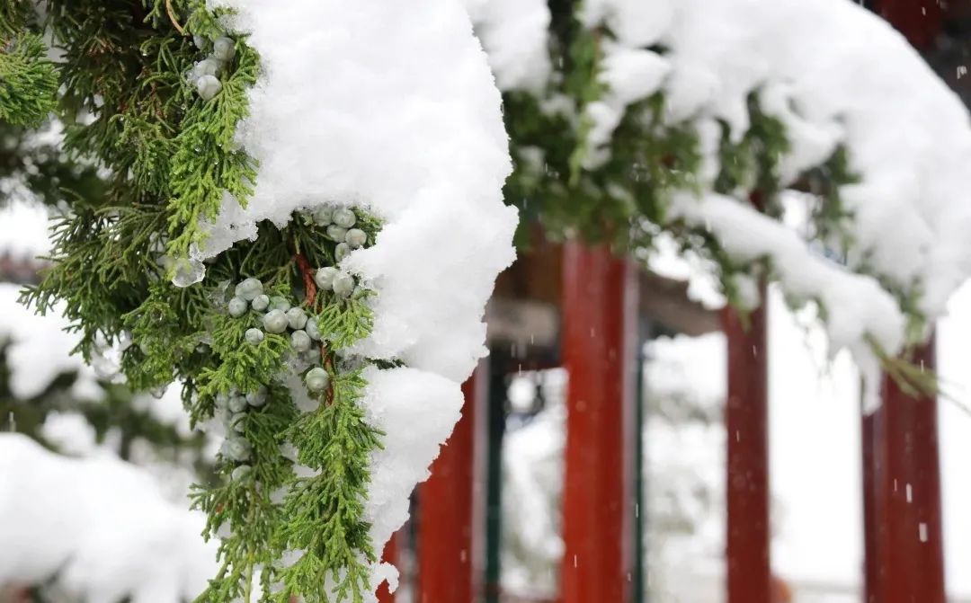 赵建民|临洮今秋第一场雪，比以往来得更早一些……