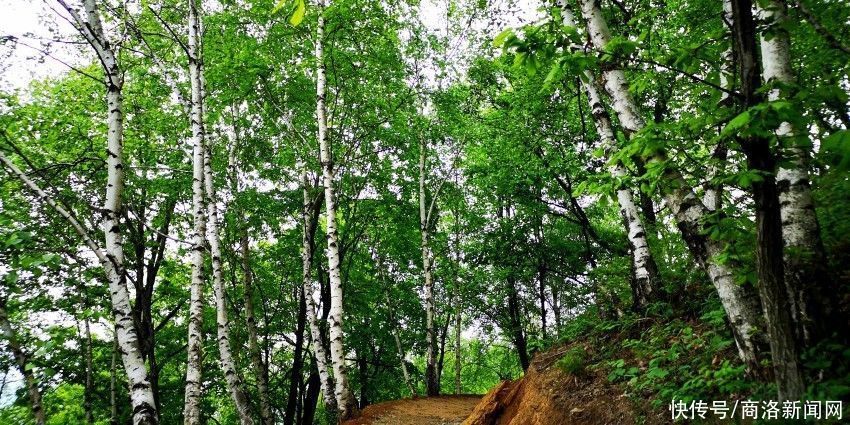 秦岭江山景区：多娇江山美如画