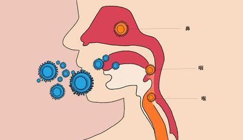 公认的长寿特征,对照自查一下,若全占,寿命不会短