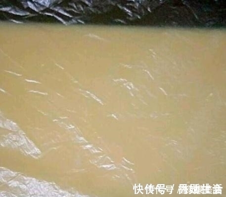 完全蛋白|“蛋白质仓库”被发现,是牛肉的2倍,鸡蛋的25倍,常吃长个