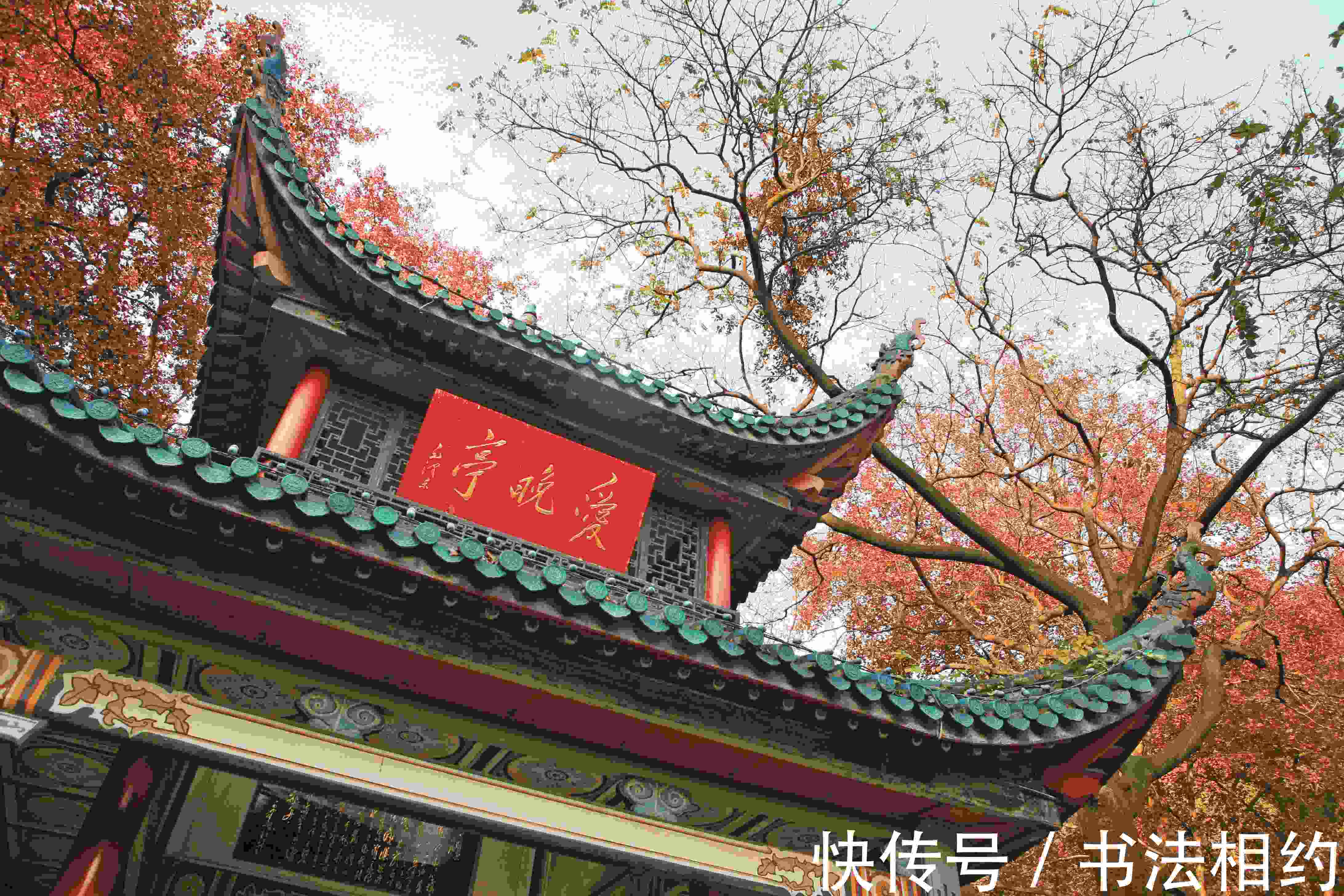 秃宝盖!伟人题写的“爱晚亭”是书坛之绝唱,字迹稳重大气,神采飞扬