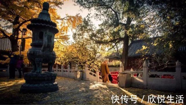 婆罗门#这是世上最厉害的因果报应,值得每个人好好看看