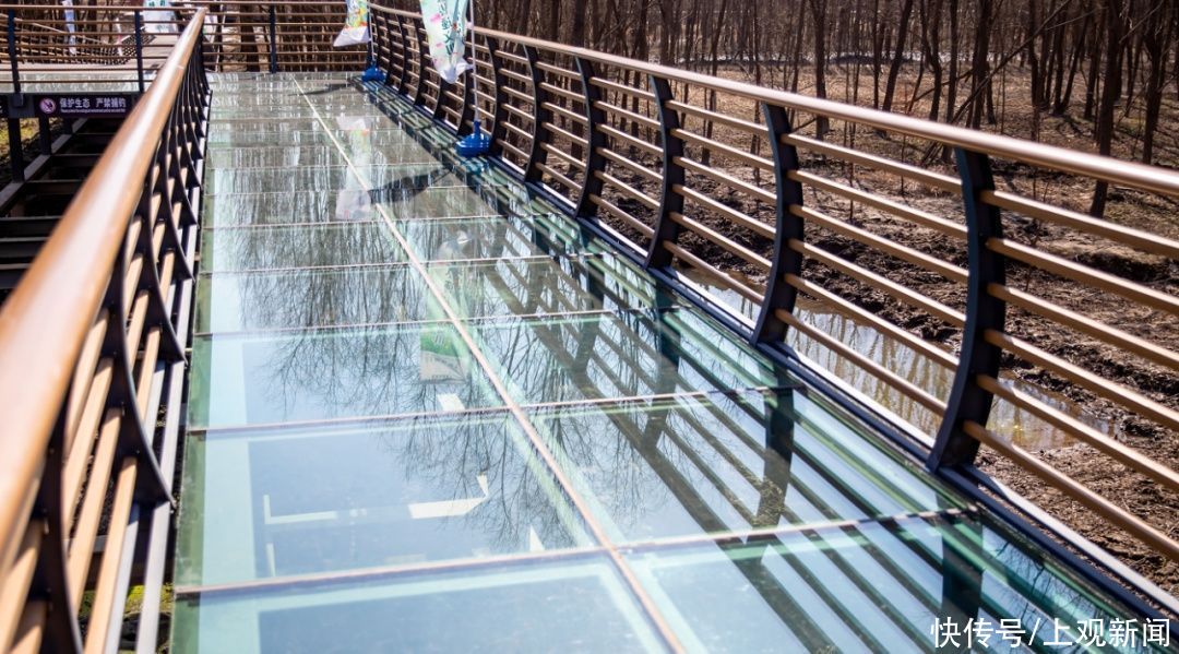 西沙湿地开园啦