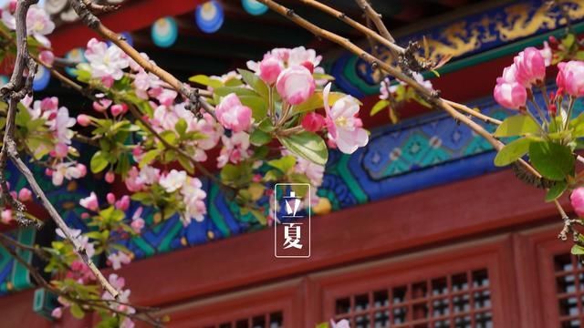 俗语|立夏将至,俗语“立夏见夏”啥意思,立夏夏至有啥不同答案来了