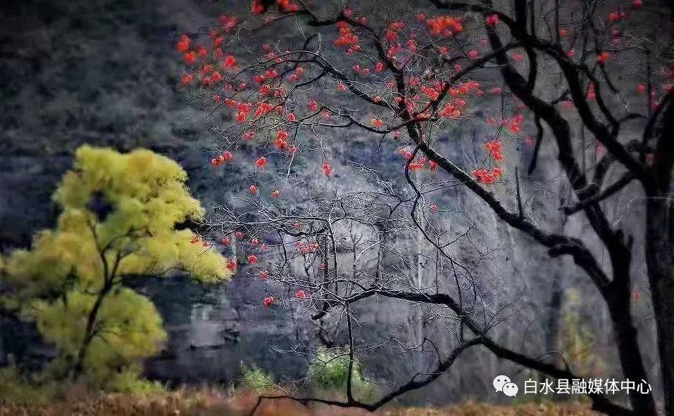 魅力白水（灵山秀水篇）