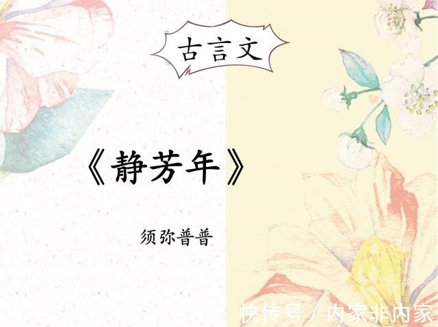 学而篇|古言爽文,比《嫡长孙》撩人,打脸算什么,抱对金大腿才重要