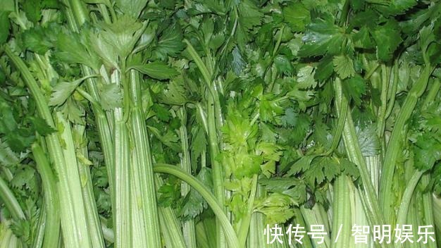 营养物质|吃芹菜为什么不吃叶子,其中的真相知道吗,建议早了解
