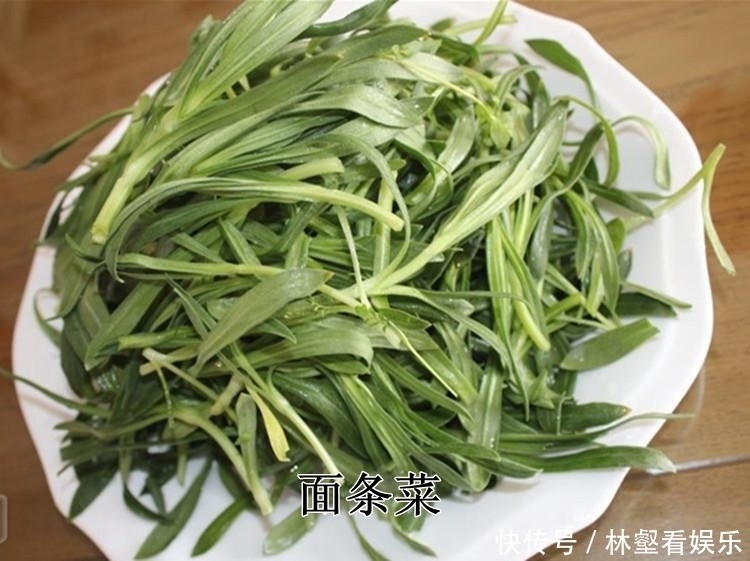 毛妮菜|春天4对“双胞胎”野菜,很多人傻傻的分不清楚,你认识几种