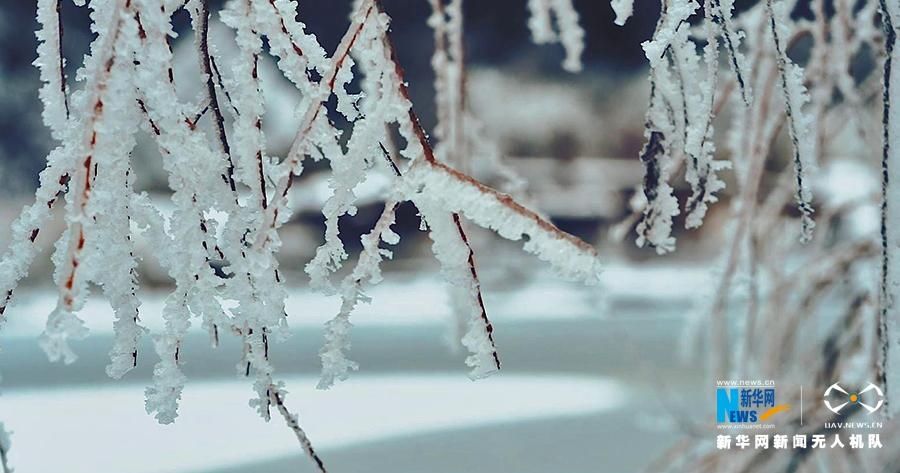 新华网：雪后重庆山中美景，每一帧都是仙境！