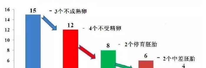 数量|试管婴儿取卵并不是这样做最好！每个人都要知道的这3点！