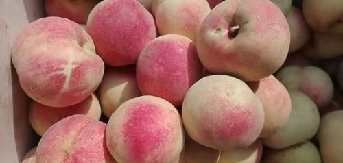 好吃|入秋了，要多吃此6“果”，营养好吃又润燥，应季而食，安稳度秋