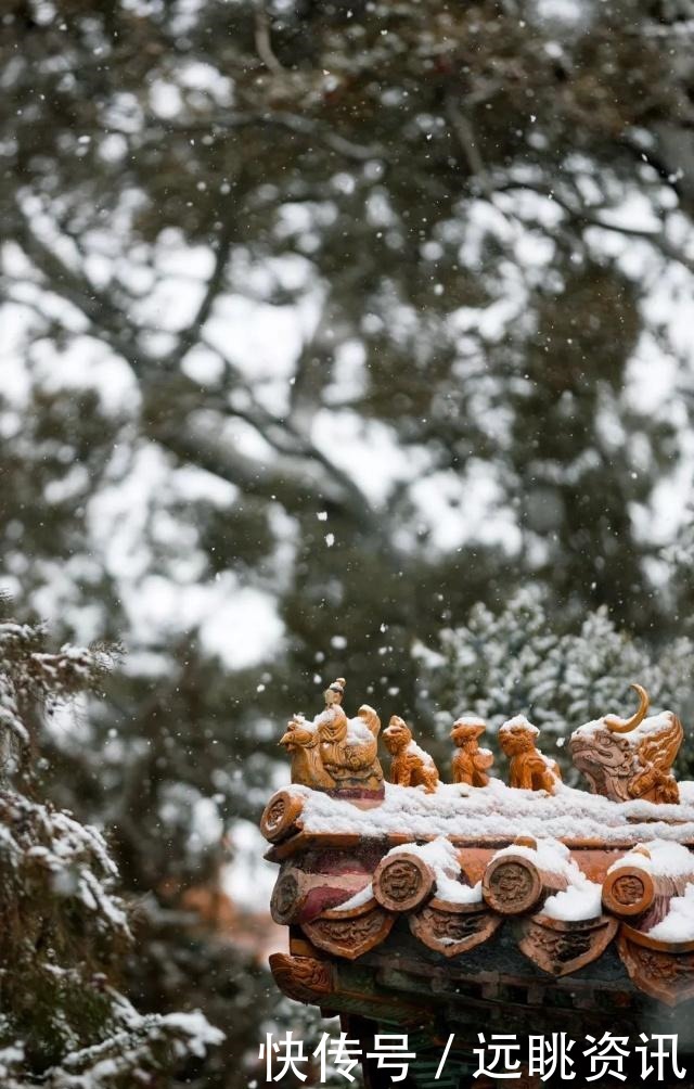 想和你|故宫下雪了，我又想你了