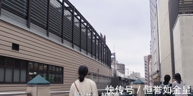 群众|泽塔奥特曼除了不怕死的群众,还有不怕死的导演