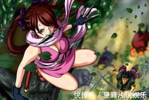 赤鞘九侠|海贼王:时夫人预言即将落空!赤鞘九侠成八侠,谁来补上这一角?