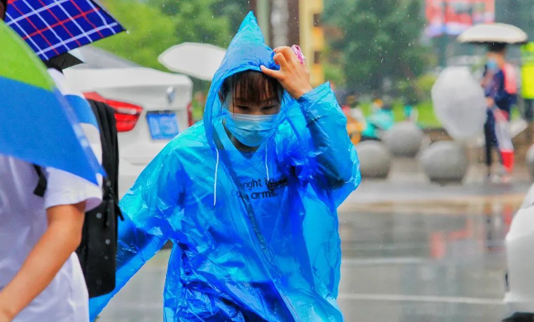 张氏帅府博物馆|暴雨来了！故宫帅府闭馆！多处高速收费站禁入